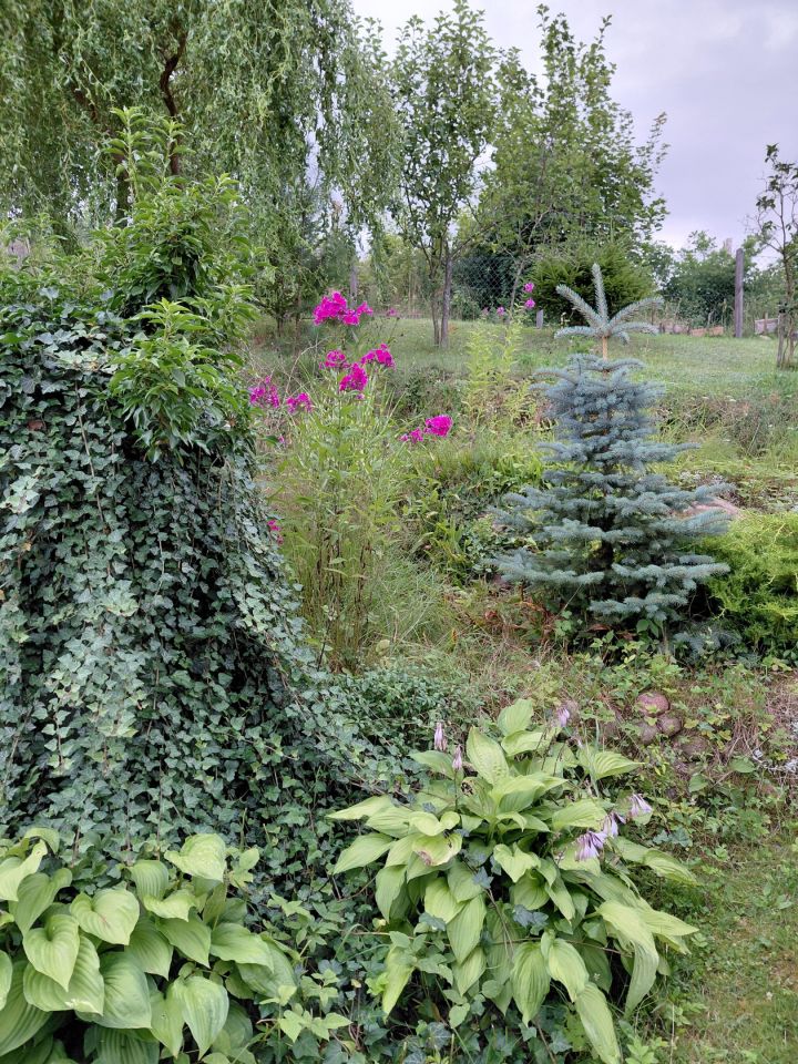 dom wolnostojący, 4 pokoje Sierpowo. Zdjęcie 20