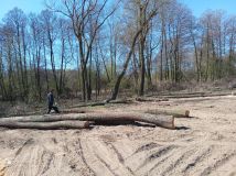 Działka rolno-budowlana Bieniew. Zdjęcie 1