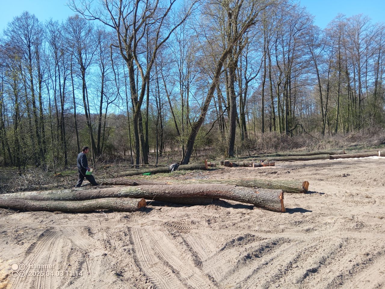 Działka rolno-budowlana Bieniew. Zdjęcie 2