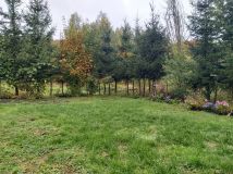 Działka rekreacyjna Plenowo. Zdjęcie 3