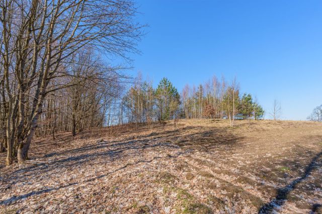 Działka budowlana Miechucino. Zdjęcie 1