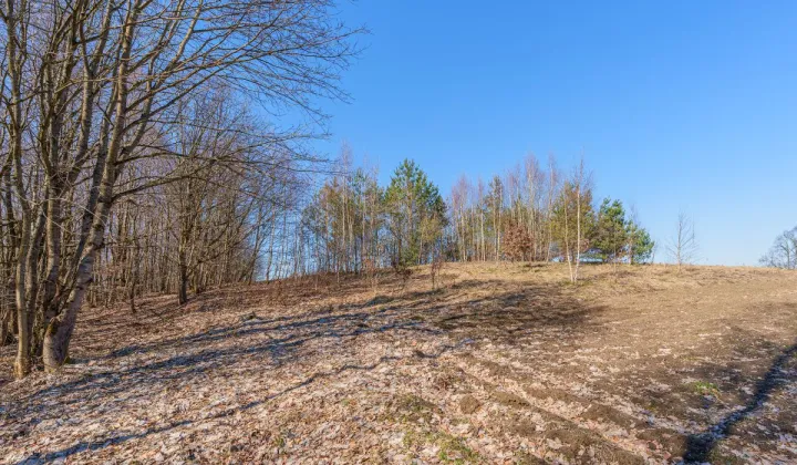 Działka budowlana Miechucino