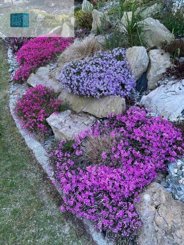 dom wolnostojący, 5 pokoi Łódź. Zdjęcie 14