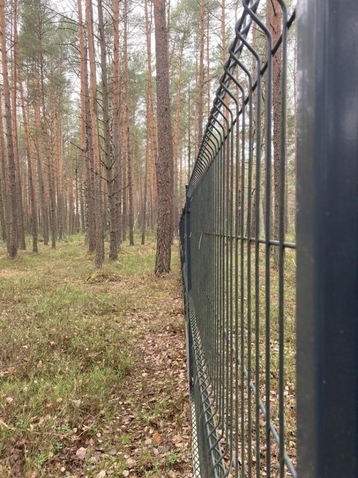 Działka leśna Osieck Kąciki, ul. Porannej Rosy. Zdjęcie 6