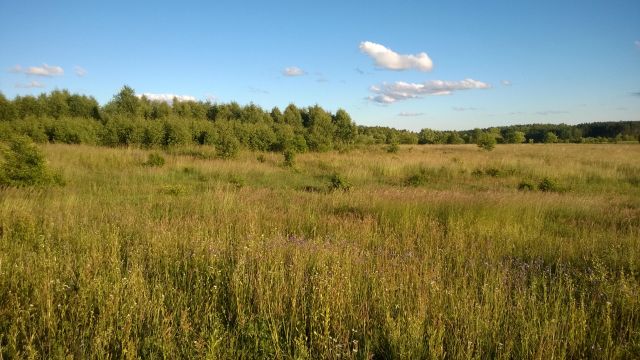 Działka budowlana Pluski, ul. Polna. Zdjęcie 3