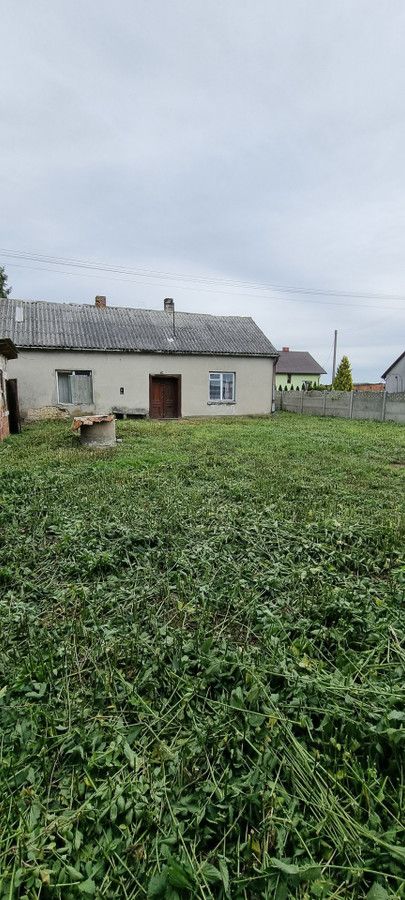 Działka rolna Wielenin. Zdjęcie 2