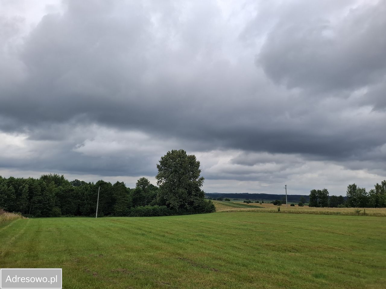 Działka rolna Pluty. Zdjęcie 9