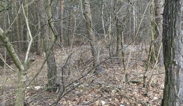 Działka leśna Ulaski