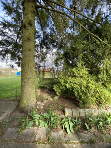 Działka rod Piła, ul. Szymanowskiego. Zdjęcie 4