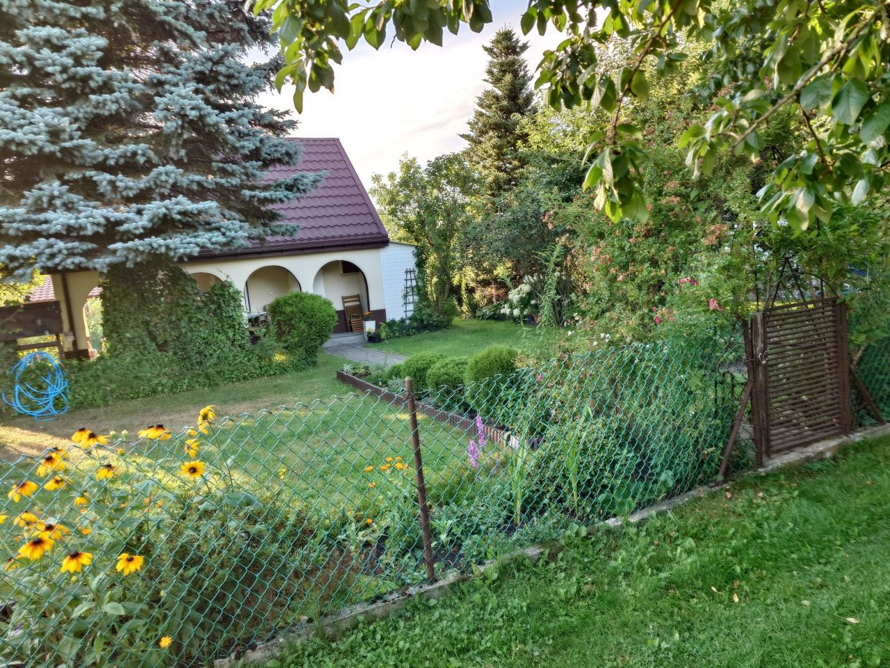 Działka rod Bełchatów. Zdjęcie 5
