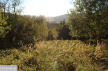 Działka Pewel Wielka. Zdjęcie 3