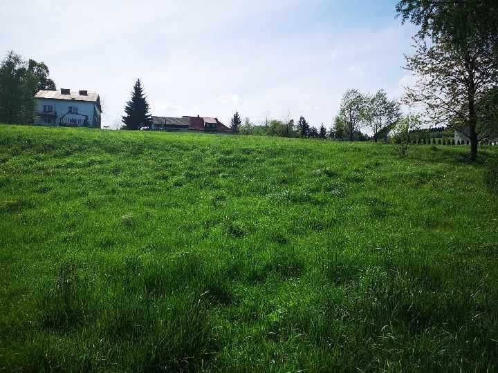 Działka rolna Chyrowa. Zdjęcie 4