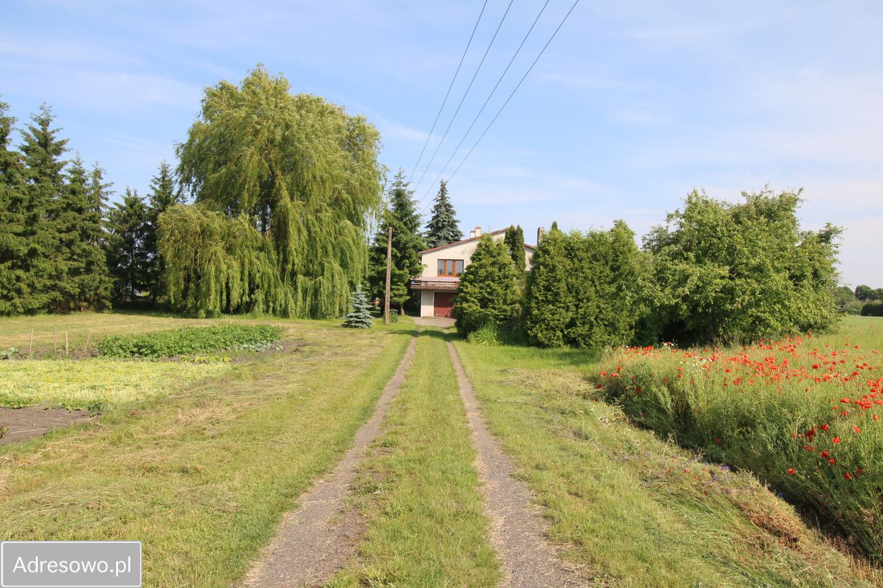 Działka inwestycyjna Żołędowo, ul. Kwiatowa. Zdjęcie 12
