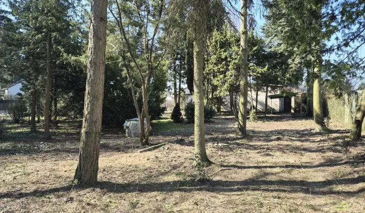 Działka budowlana Rybojedzko, ul. Słoneczna