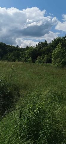 Działka budowlana Gostycyn. Zdjęcie 1