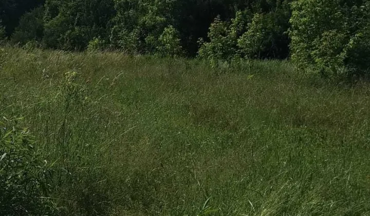 Działka budowlana Gostycyn