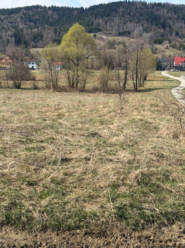 Działka rolna Sopotnia Mała. Zdjęcie 2