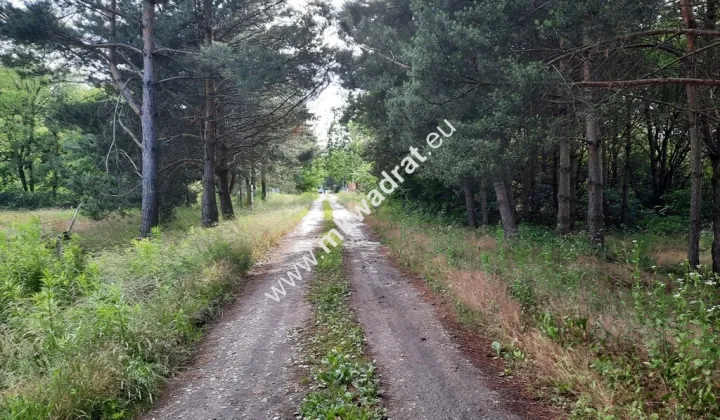 Działka budowlana Strzeniówka