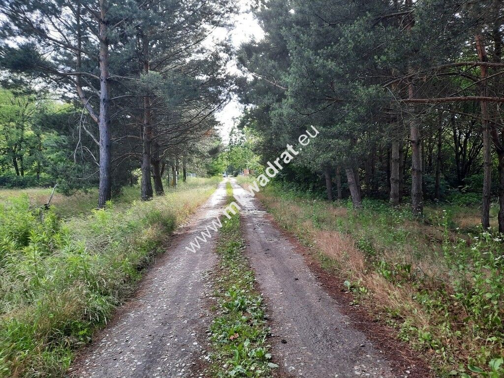 Działka budowlana Strzeniówka. Zdjęcie 1