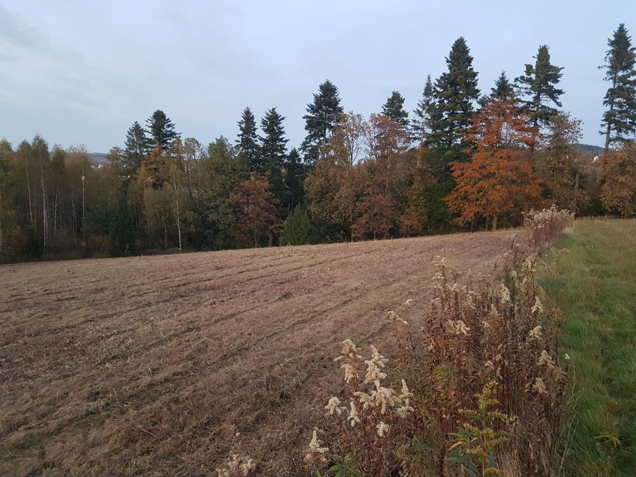 Działka budowlana Dąbrówka. Zdjęcie 2