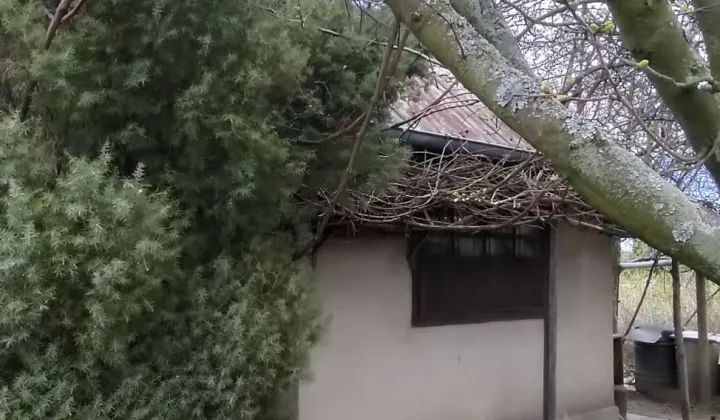 Działka rod Dzierżoniów, ul. Złota