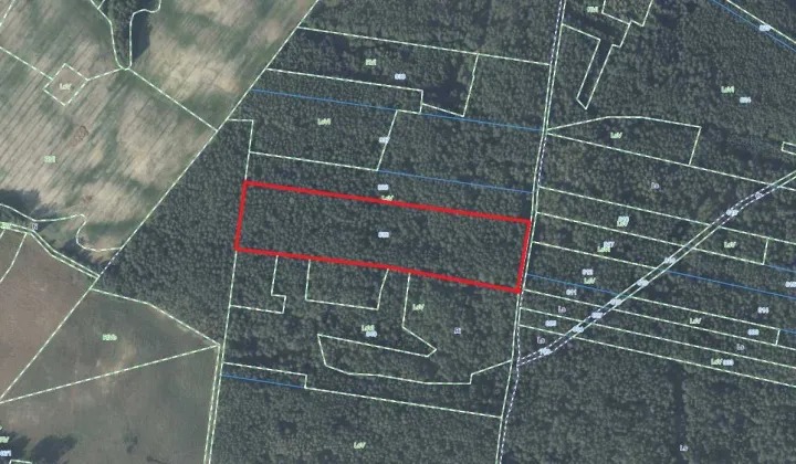 Działka leśna Wysoka