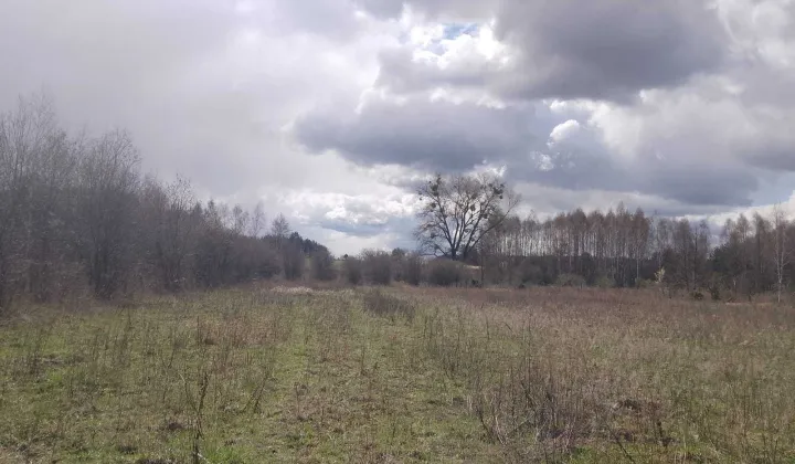 Działka rolno-budowlana Baciuty