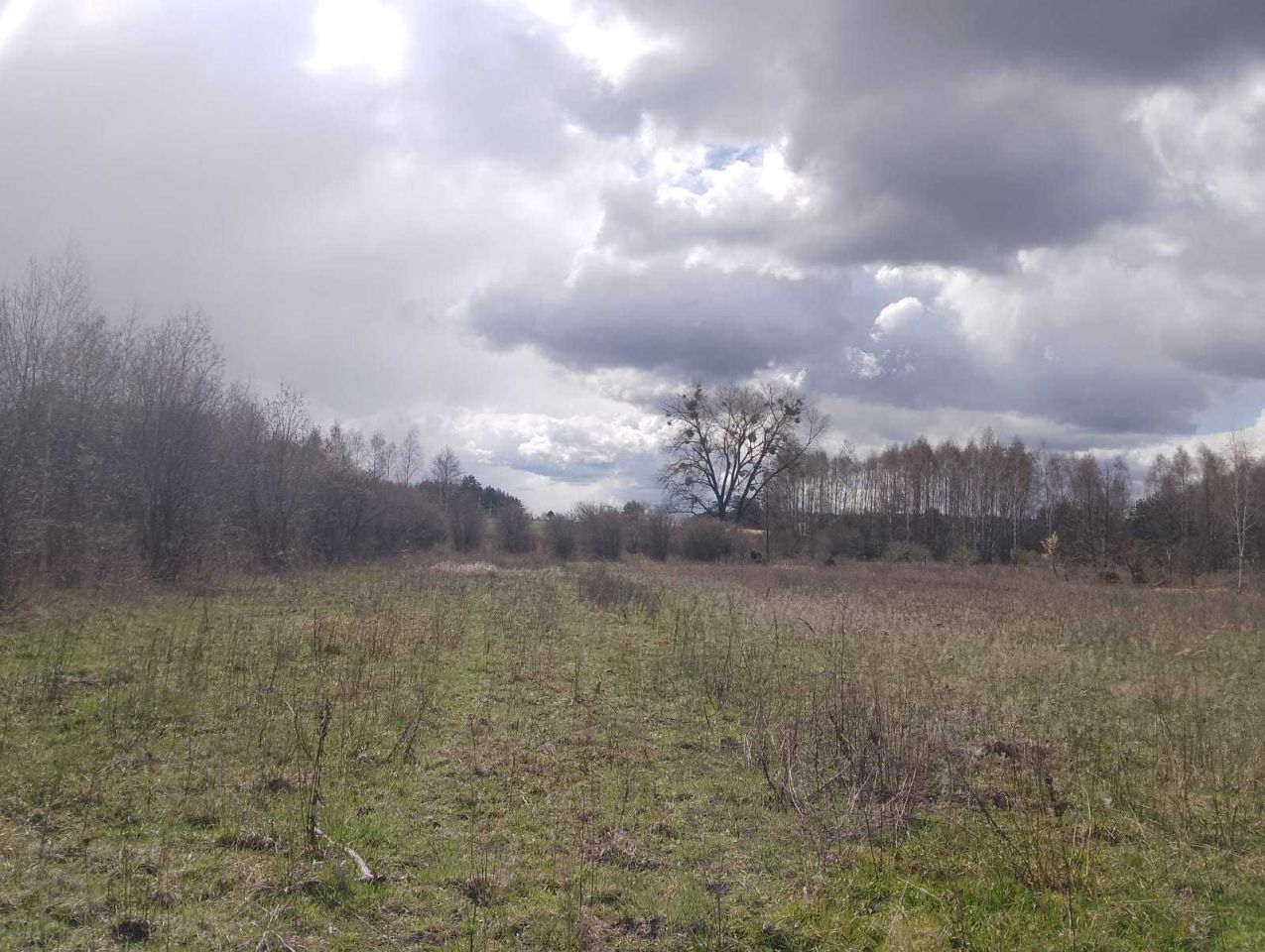 Działka rolno-budowlana Baciuty