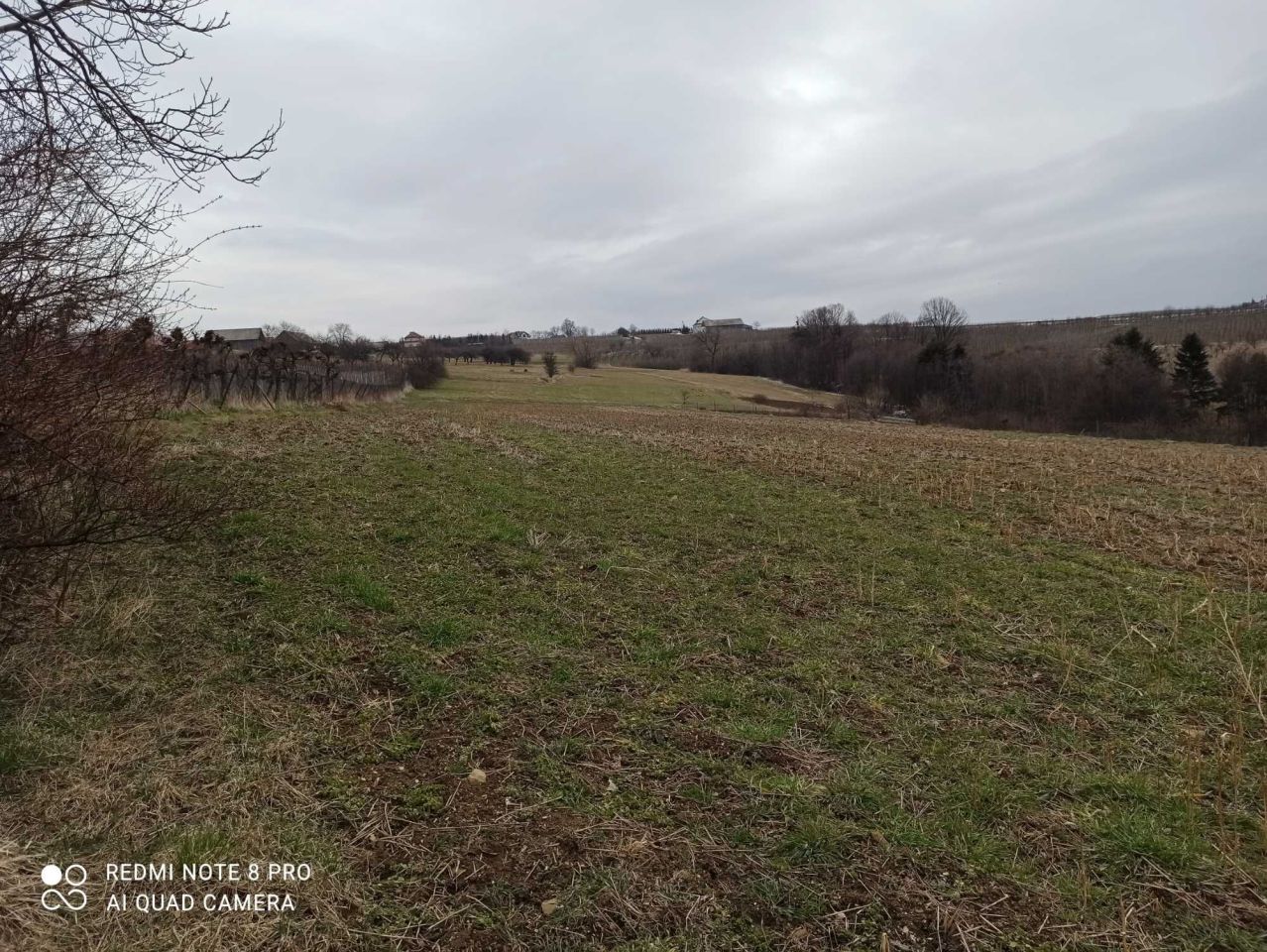 Działka rolno-budowlana Krzesławice. Zdjęcie 2