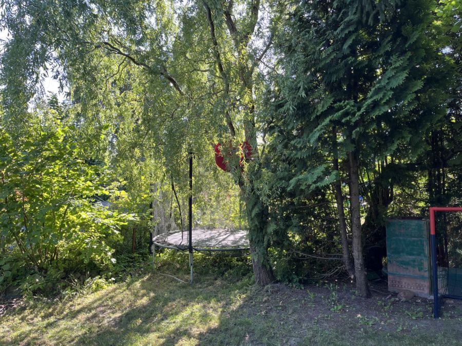 Działka rod Gdańsk Osowa, ul. Owczarnia. Zdjęcie 6