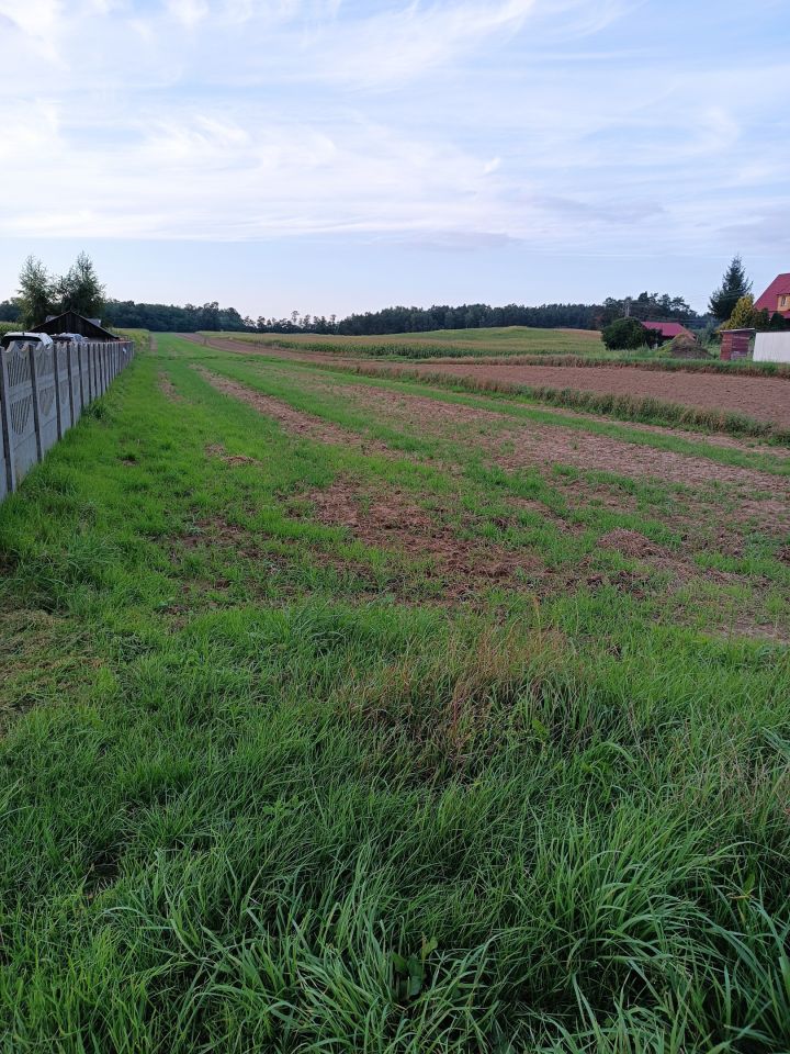 Działka rolno-budowlana Żelazna. Zdjęcie 3