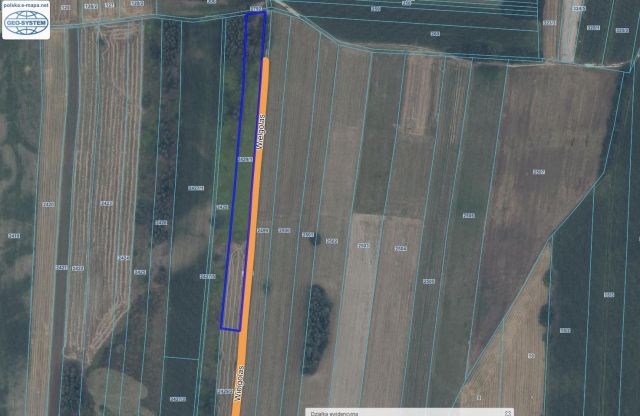 Działka rolna Łaskarzew, ul. Wielgolas. Zdjęcie 1