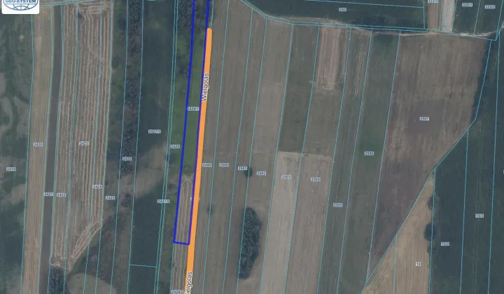 Działka rolna Łaskarzew, ul. Wielgolas