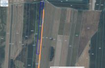 Działka rolna Łaskarzew, ul. Wielgolas