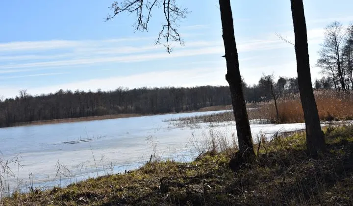 Działka rekreacyjna Zajezierze