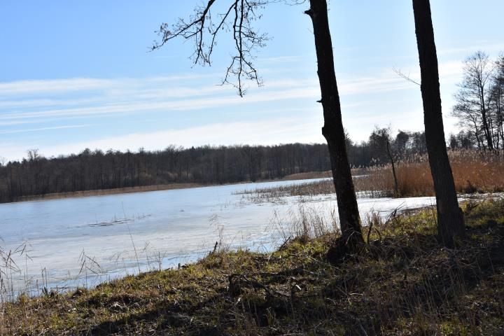 Działka rekreacyjna Zajezierze. Zdjęcie 1