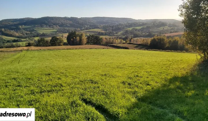 Działka rolno-budowlana Bochnia, ul. Strzelecka
