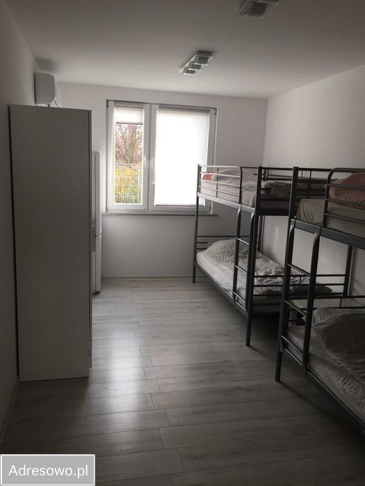 bliźniak Pietrzykowice. Zdjęcie 2