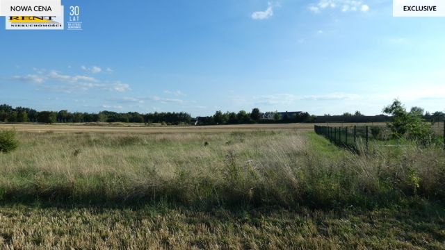 Działka rolna Kamieniec. Zdjęcie 5