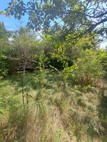 Działka rekreacyjna Szałe, ul. Południowa. Zdjęcie 4