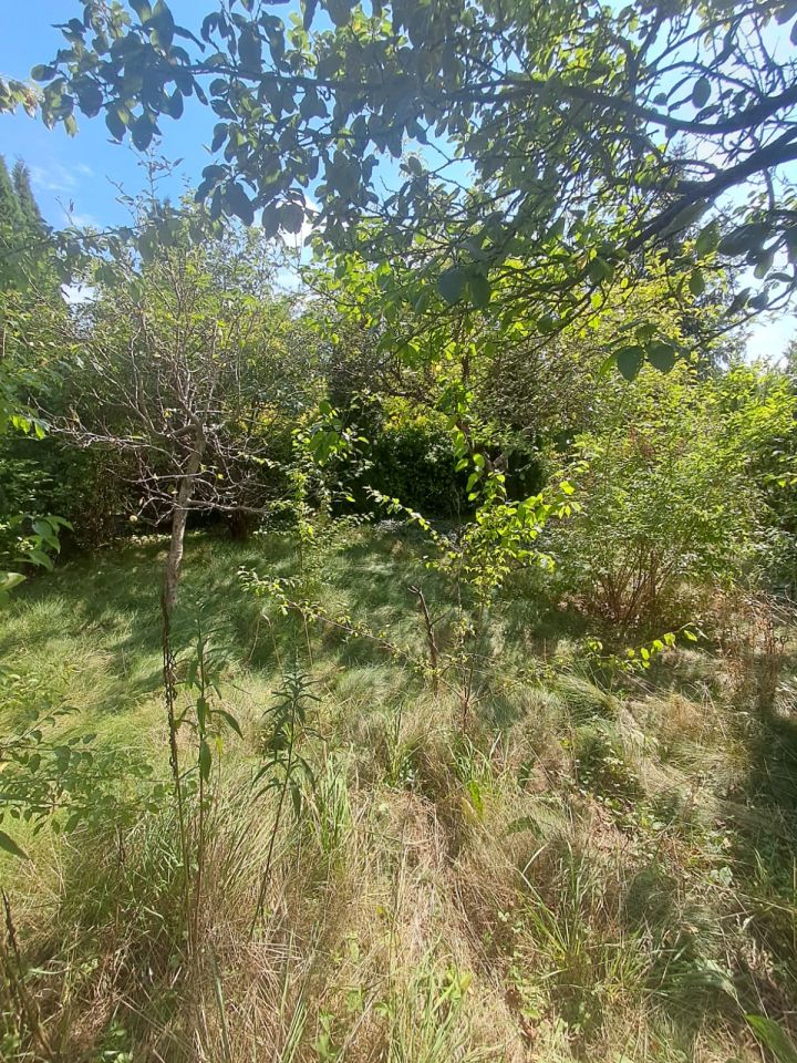 Działka rekreacyjna Szałe, ul. Południowa. Zdjęcie 4