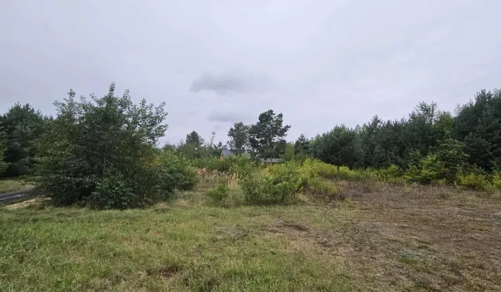 Działka budowlana Nielisz