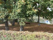 Mieszkanie 1-pokojowe Gliwice Łabędy, ul. Rzeczycka. Zdjęcie 4