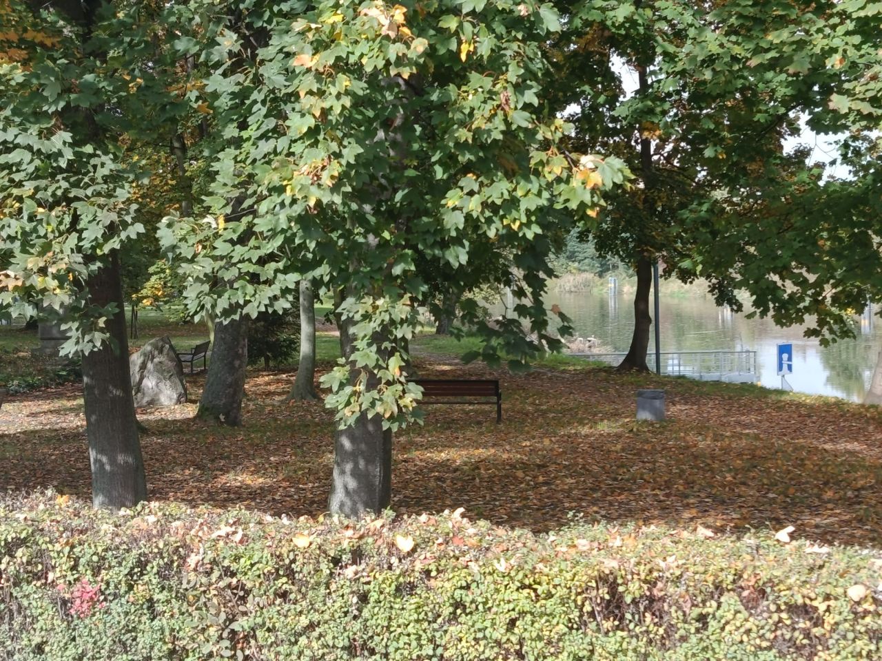 Mieszkanie 1-pokojowe Gliwice Łabędy, ul. Rzeczycka. Zdjęcie 5