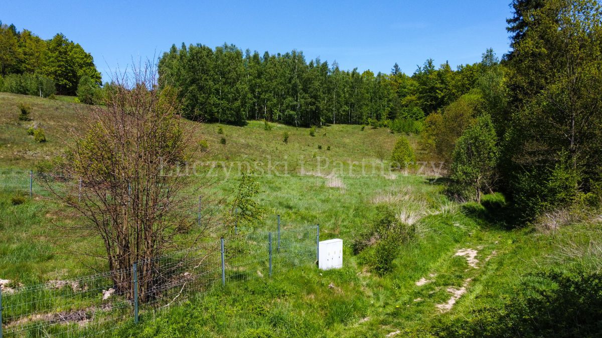 Działka inwestycyjna Karpniki. Zdjęcie 7