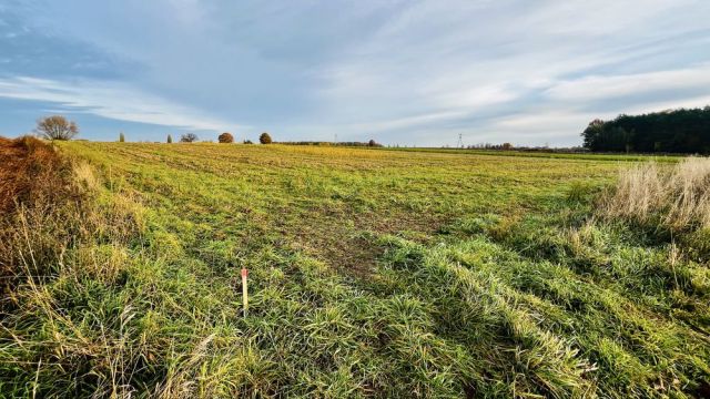 Działka budowlana Zalesie-Kolonia. Zdjęcie 1