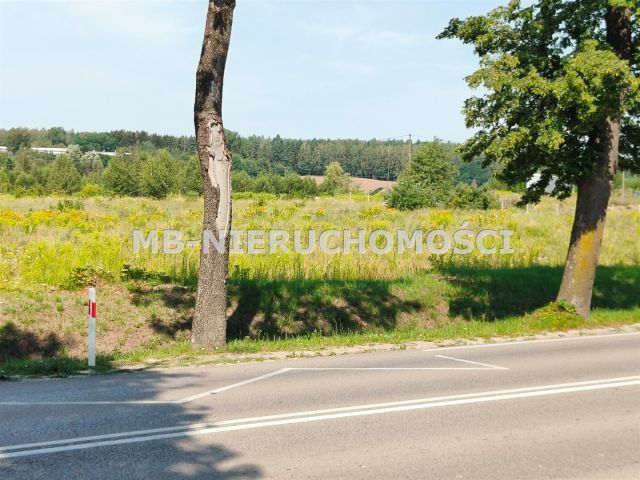 Działka inwestycyjna Barczewo. Zdjęcie 5