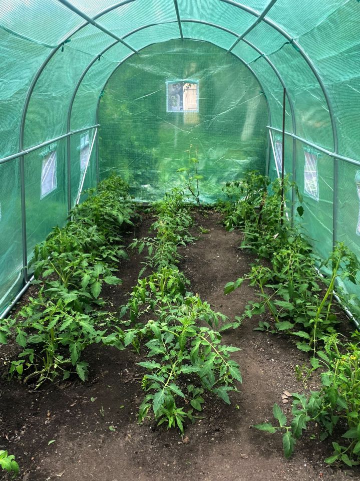 Działka rod Wrocław Biskupin. Zdjęcie 2