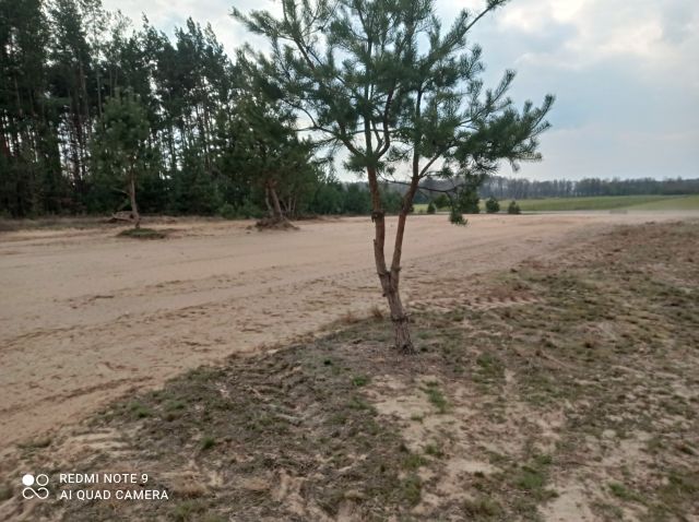 Działka rolno-budowlana Prabuty, Brak. Zdjęcie 1
