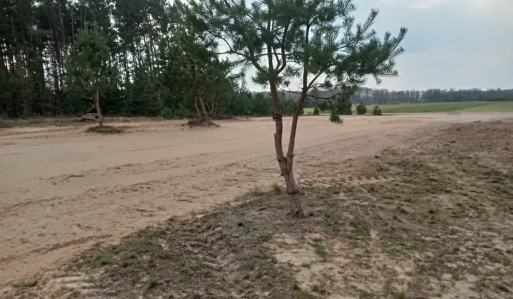 Działka rolno-budowlana Prabuty, Brak